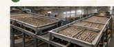 Grading and screening carbonized fuel